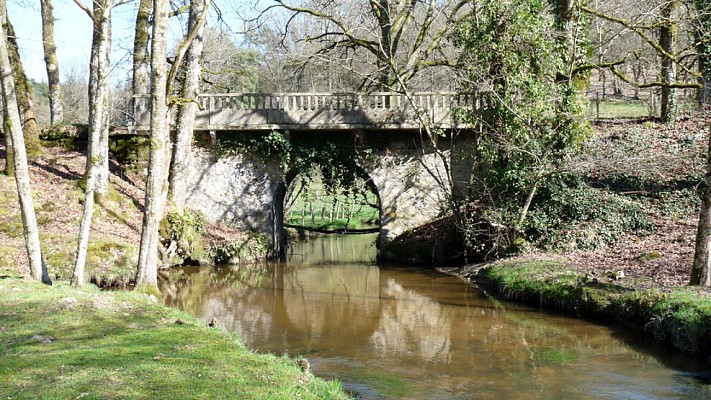 Le pays vert Chanteixois du Puy Maurians aux Zignalets_2
