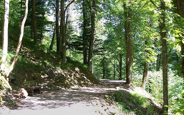 Autour de Cauterets