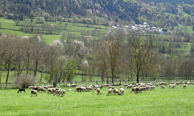 Autour de la Neste