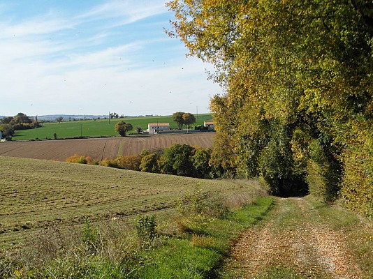 Puissanganou