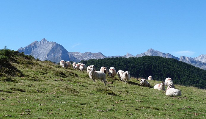 Le pic de Bazès