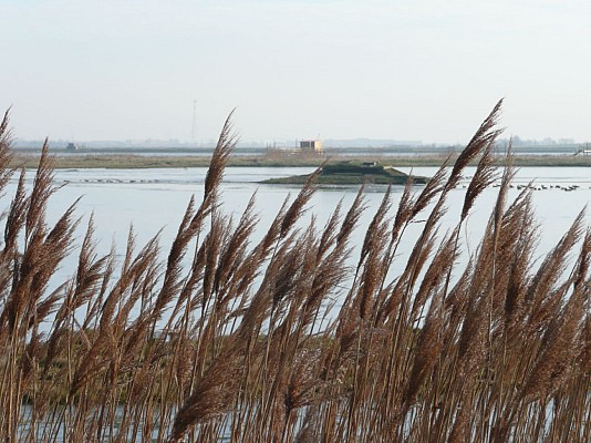 Saint-Laurent-de-la-Prée : la pointe de la Parpagnole