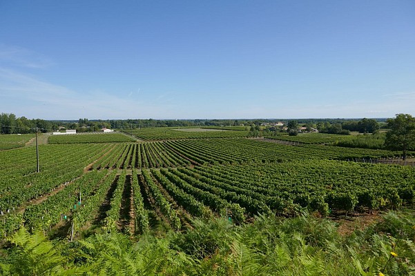 Burie : les 12 fontaines