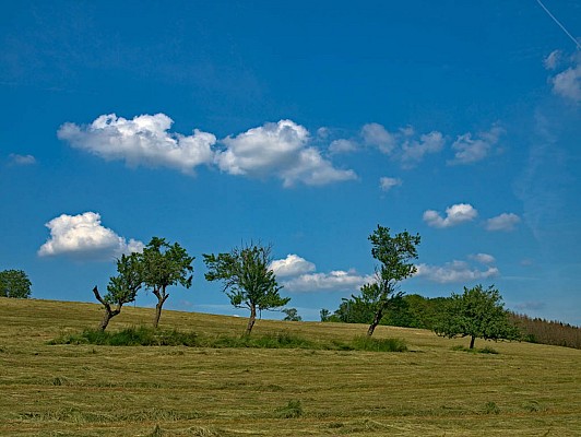 Le chemin d'Udera