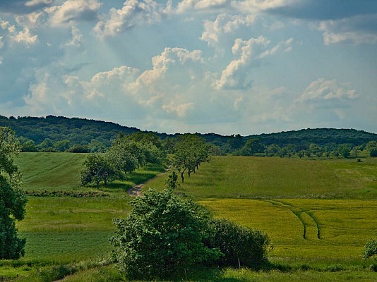 Le chemin d'Udera