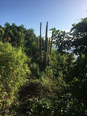 La boucle de Terre-de-Bas