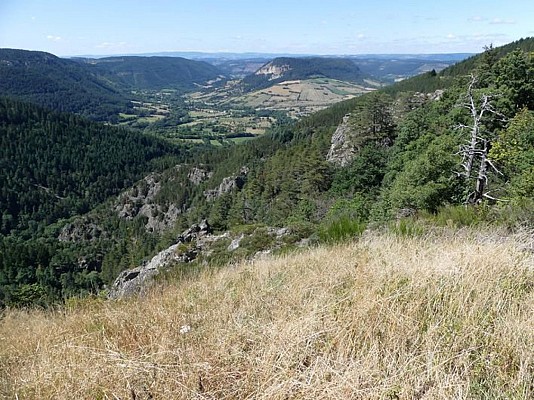 les gorges du Bramont