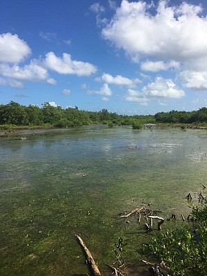 Les Marais de Port-Louis