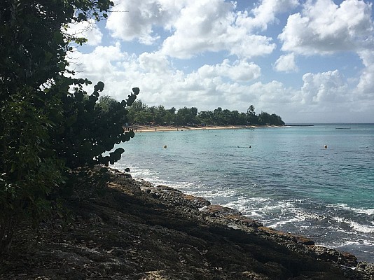 Les Marais de Port-Louis