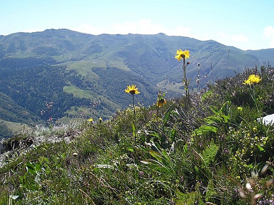 Le Plomb du Cantal