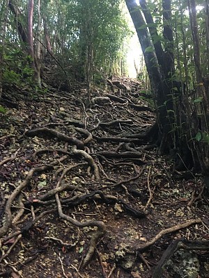 Trace des Pécheurs