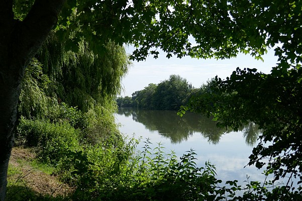 Bord de Charente