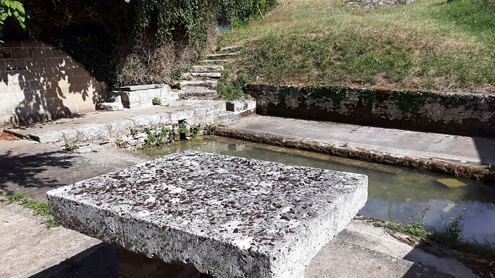 JAULDES-Treillis-lavoir