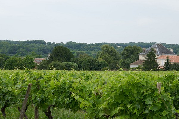 Sireuil