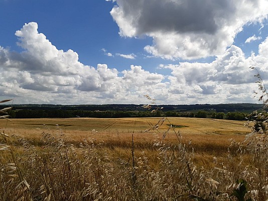 panorama
