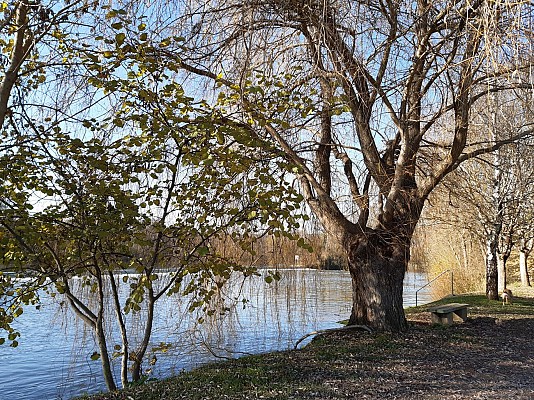 Bord de Charente