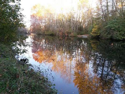 Bord de Charente