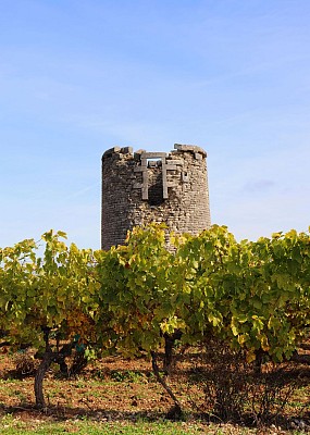 Moulin à vent