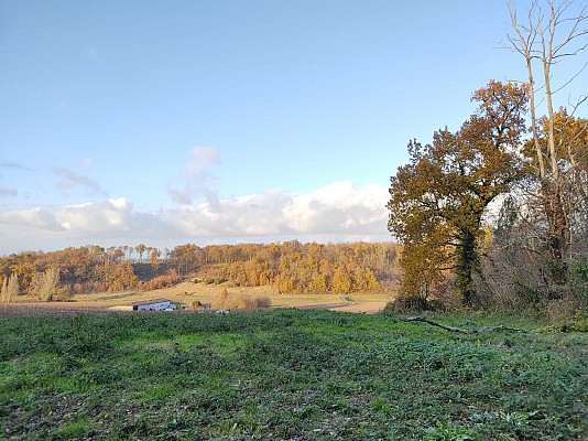 En chemin