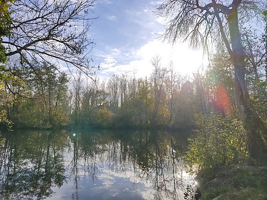 La dronne