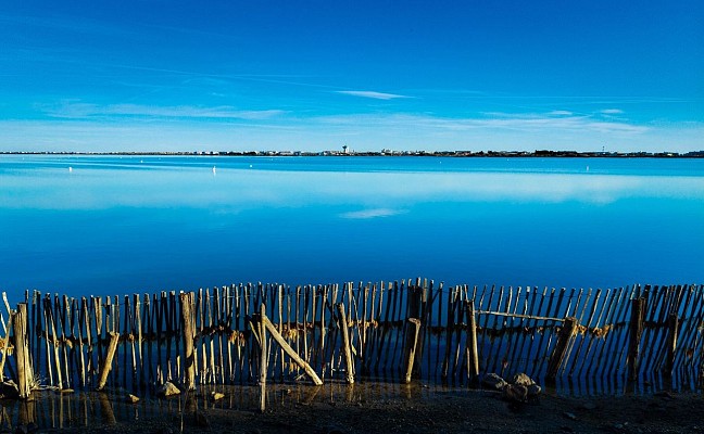 Reserve_Naturelle_du_Mejean_-_EXCLUSIF_ADT34_E_Brendle_1