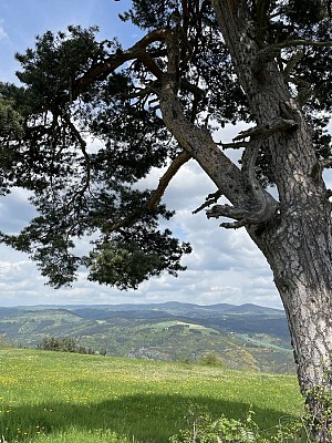 Point de vue sur la vallée de l'Allier et le Velay