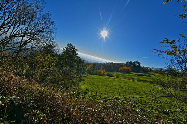 Pollionnay - Promenons-nous dans les bois