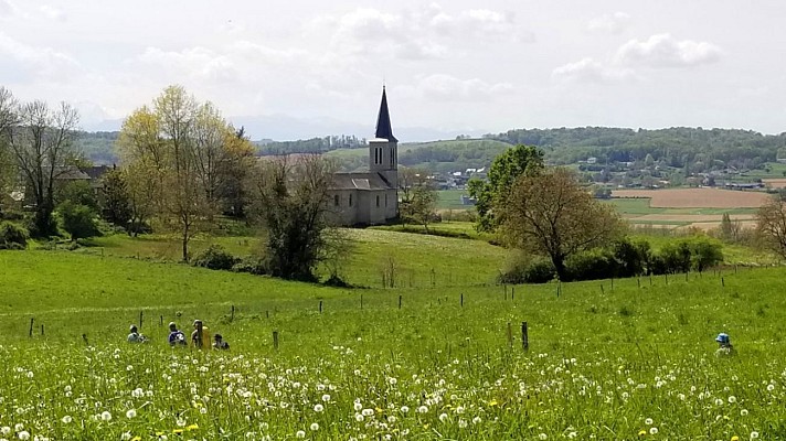 Les coteaux de l'Arros