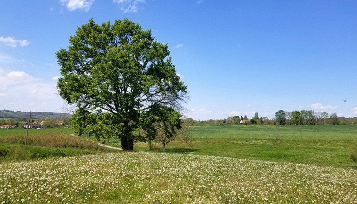 Les coteaux de l'Arros