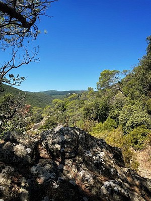 Panorama de la palombière