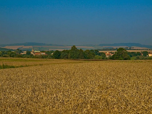 le plateau de Pommérieux