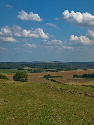 Vue de la côte