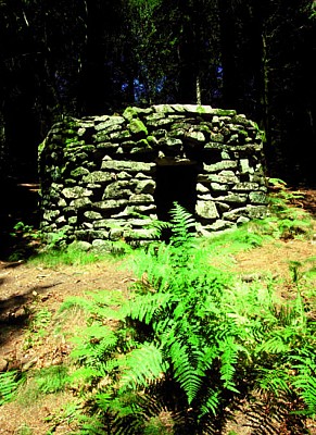 boisdeRoche2.jpg_1