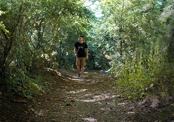 chemin de buis