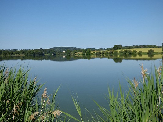 Randoguide les etangs de la Cazine 2.JPG_2