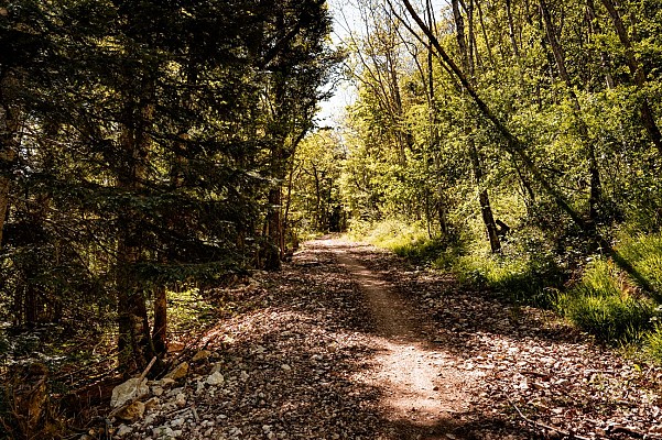 Boucle pédestre : chemin du Funiculaire_Monnetier-Mornex