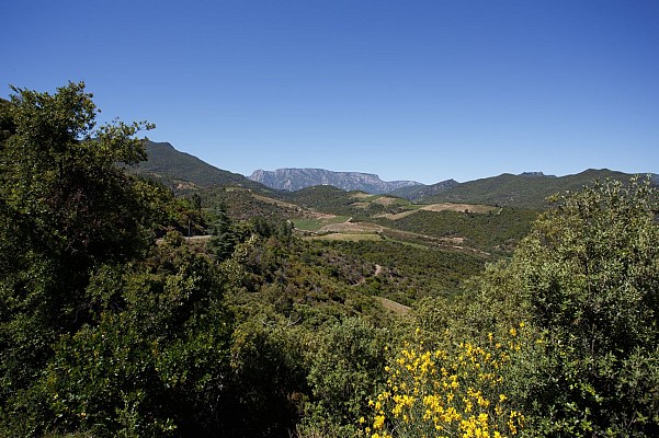 Le Caroux depuis le parcours