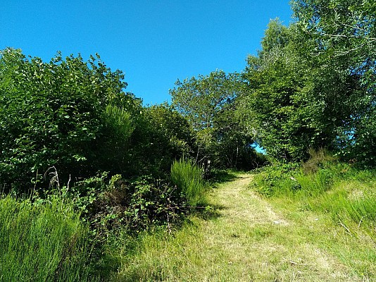 Chemin des chèvres