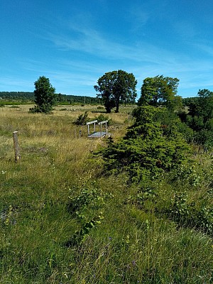 Chemin des chèvres