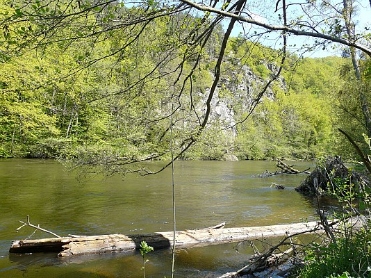 Les Tressots
