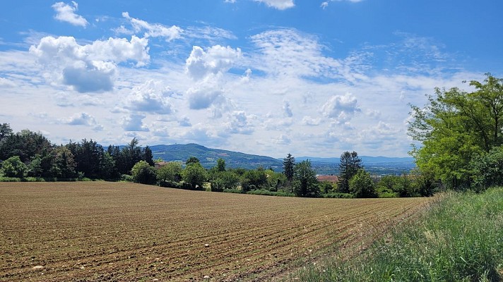 Vue sur les Monts d'Or