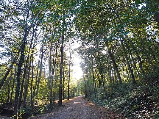 Allée du parc Lacroix-Laval