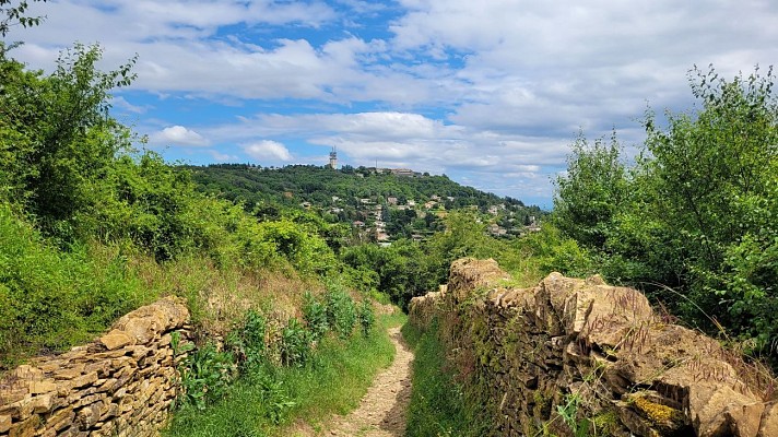 Mont-Cindre