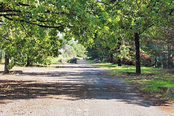 Promenade Lénine