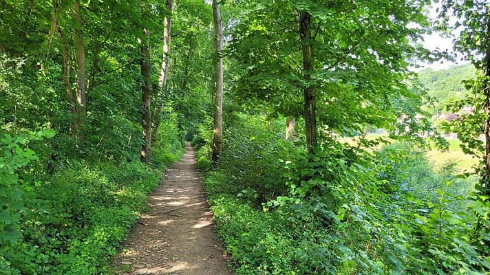 Le parc