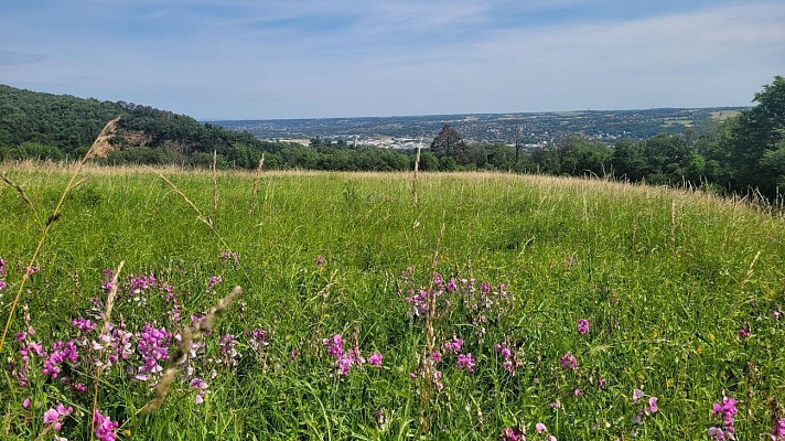 Le parc