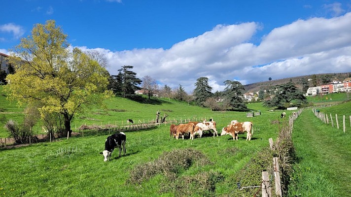  Vallon de Sandar 