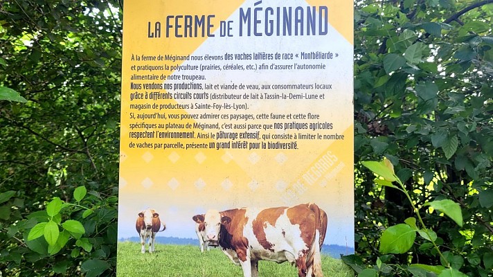Plateau agricole