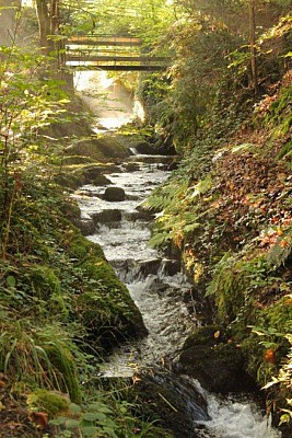 LE TORRENT à Storckensohn (68): Rouge Gazon