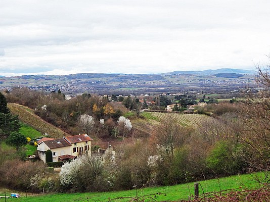 Point de vue